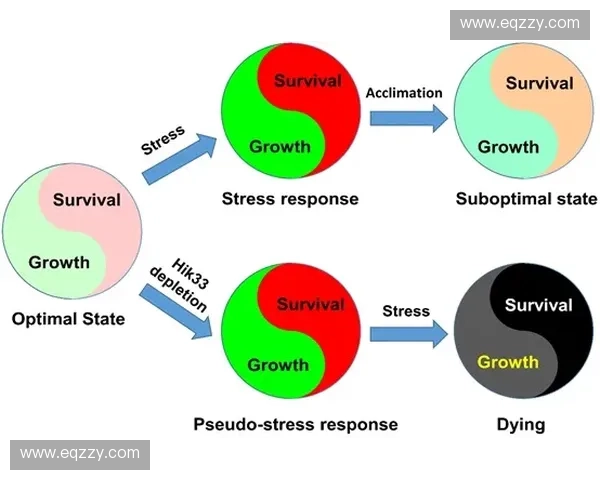 运动生理学视角下人体适应机制与训练效果的关系研究 运动生理学视角下人体适应机制与训练效果的关系研究